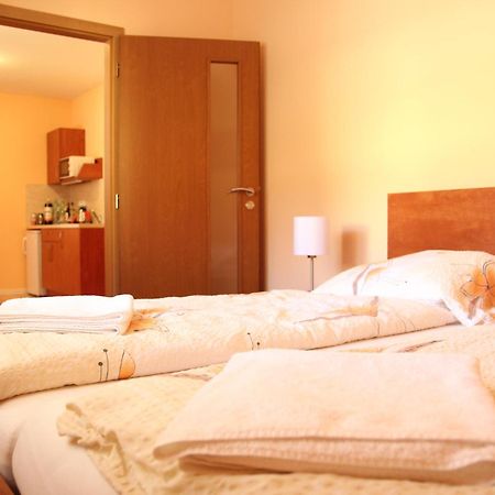 Cerny Kocour Apart Hotel Sarovy المظهر الخارجي الصورة