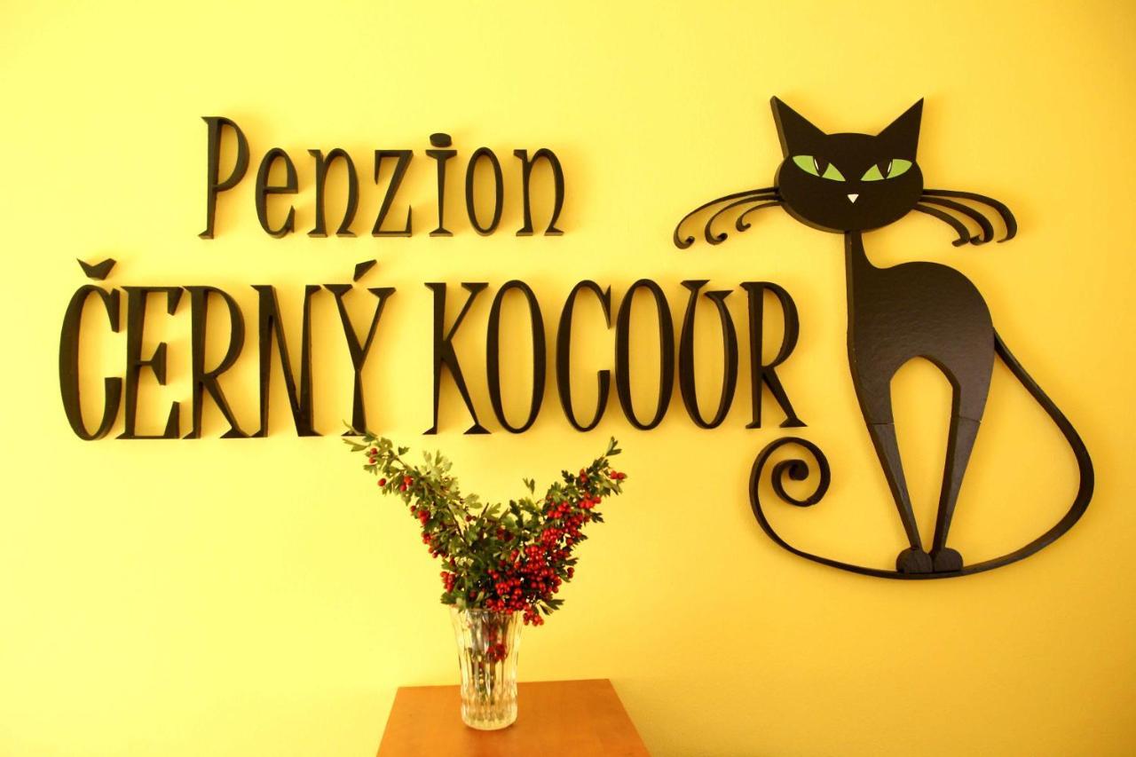 Cerny Kocour Apart Hotel Sarovy المظهر الخارجي الصورة